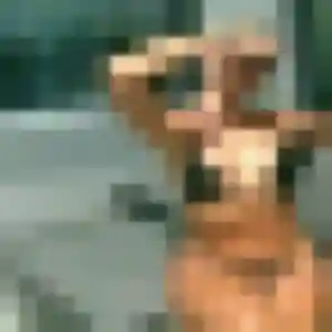 Rejoins Brigitte, 39 ans à Plédran en privé
