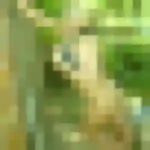 Urielle, 38 ans, connectée à Plougastel-Daoulas pour une rencontre coquine