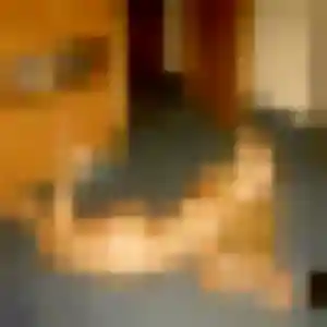 Karima, 36 ans, dispo pour rencontre sexy à Plouigneau
