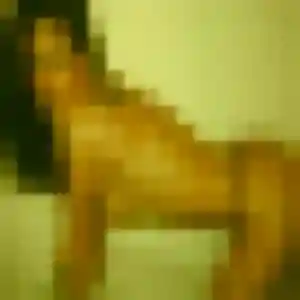 Judith, 24 ans, disponible à Pontivy pour un rencontre sexy