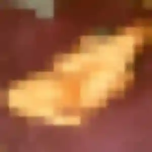 rencontre sexy à Port-Saint-Louis-du-Rhône : profil de Nora, 38 ans - inscription gratuite