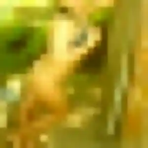 Photo sexy de Alessandra, 23 ans à Puget-sur-Argens - rencontre coquine
