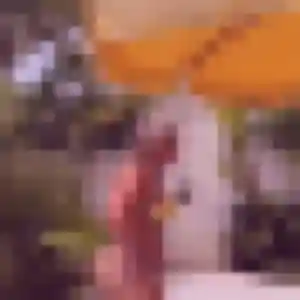 Fanny, 29 ans, connectée à Ramonville-Saint-Agne pour une rencontre coquine