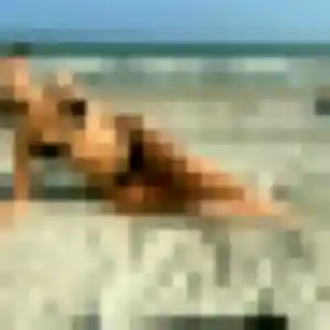 Sexy Maeva, 24 ans à Raon-l'Étape - découvrir son profil