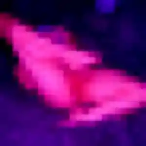 Natasha (23 ans) à Ruelle-sur-Touvre attend un rencontre sexy maintenant