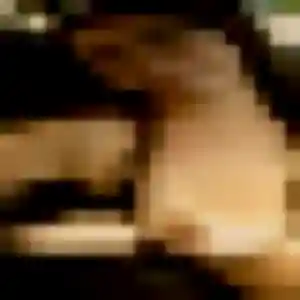 Monique, 36 ans, disponible à Saint-Cyr-l'École pour une rencontre coquine