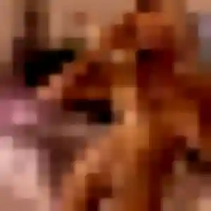 rencontre sexy à Saint-Dizier : photo de Vera, 44 ans - sans engagement