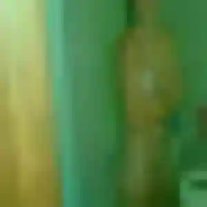 Victoire, 40 ans, dispo pour rencontre sexy à Saint-Germain-lès-Corbeil