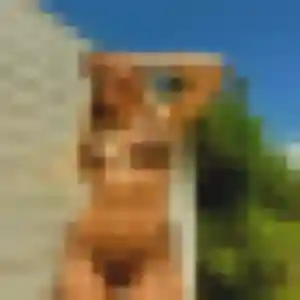 rencontre sexy à Saint-Jacques-de-la-Lande : photo de Natacha, 32 ans - accès libre