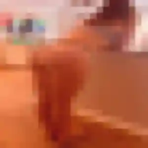 Lisette, fille de 19 ans veut rencontre sexy à Saint-Jean-de-Luz