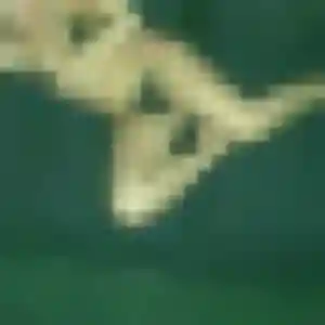 Photo sexy de Marie-Jose, 30 ans à Saint-Juéry - rencontre coquine