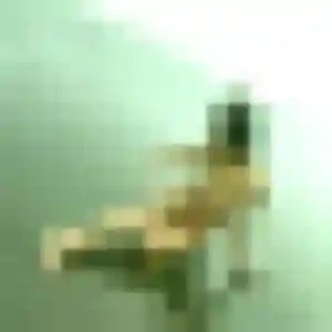 Photo sexy de Vinciane, 37 ans à Saint-Maurice - rencontre sans lendemain
