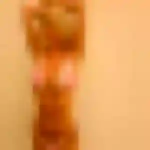 Oriane, femme de 24 ans veut rencontre sexy à Saint-Mitre-les-Remparts