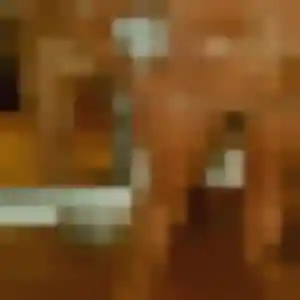Rencontre Lilou, 21 ans à Saint-Orens-de-Gameville en privé