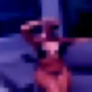 Wahiba, 36 ans, veut un rencontre sexy à Saint-Paul