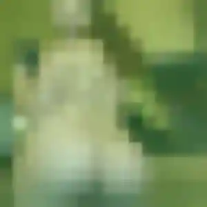 Photo de Amel à Saint-Thibault-des-Vignes (42 ans) - rencontre sexy anonyme