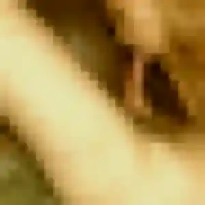 Profil de Hajar à Sausset-les-Pins (35 ans) - rencontre sexy sans inscription