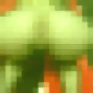 Charlotte, 27 ans, cherche un rencontre sexy à Seichamps