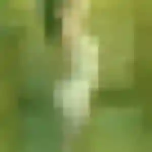 Nolwenn, femme de 44 ans propose rencontre sexy à Soisy-sous-Montmorency