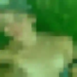 Contacte Clotilde, 29 ans à Soultz-Haut-Rhin en privé