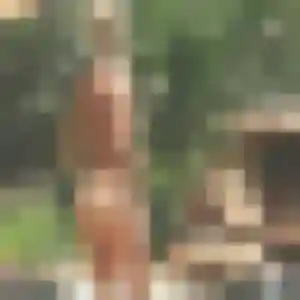 Tamara, 41 ans, dispo pour rencontre sexy à Trélissac