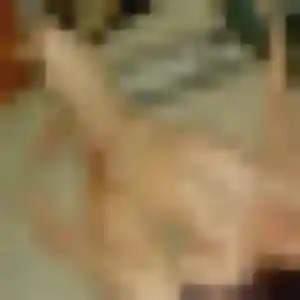 Nadia, fille de 23 ans cherche rencontre sexy à Uzès