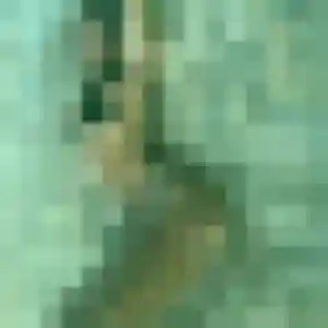 Geneve, fille de 34 ans cherche rencontre sexy à Valenciennes