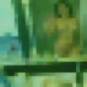 Photo de Nolwenn à Valognes (39 ans) - rencontre sexy gratuit