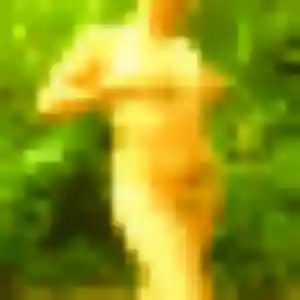 Marie-Therese, 40 ans, cherche un rencontre sexy à Villeneuve-en-Retz