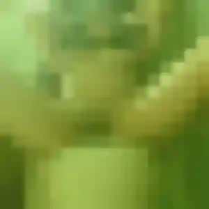 Photo privée de Uranie, 19 ans à Villeneuve-Tolosane - plan discret