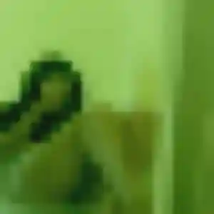 Charlotte, 40 ans, cherche un rencontre sexy à Wimereux